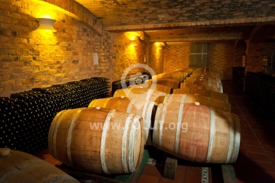 Barriles de vino en Viñedo Marqués de Villa de Leyva, Boyacá,
