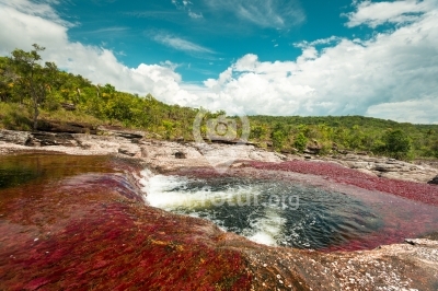 El río más hermoso del mundo en Colombia: Caño Cristales
