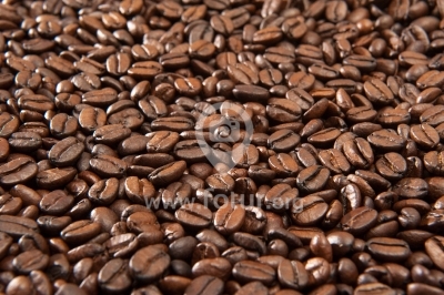 Granos de café de  Colombia