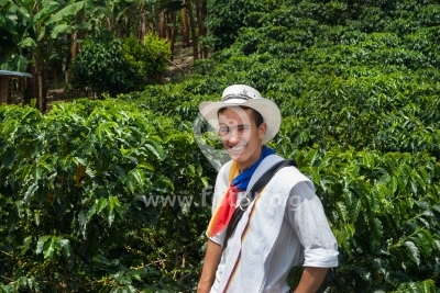 Campesino Cultivador de Café — Eje Cafetero, Colombia