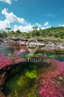 Río multicolor en Colombia - Caño Cristales