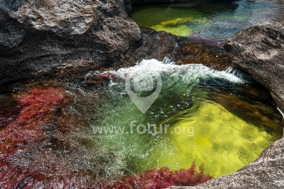 Aguas multicolores de Caño Cristales