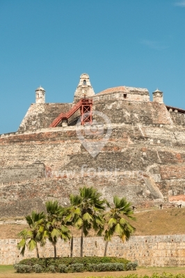 Palmeras en el Castillo de San Felipe de Barajas
