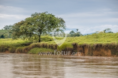 Ribera del río Orteguaza en el Caquetá