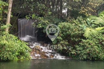 Cascada en el Jardín Botánico — Bogotá, Colombia