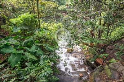 Río en el Jardín Botánico — Bogotá, Colombia