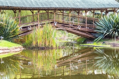 Puente de guadua en el Jardín Botánico — Bogotá, Colombia